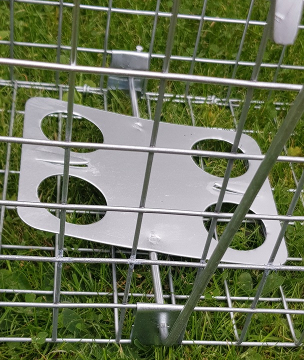 żywołapka pułapka na szczury gryzonie szczurołapka