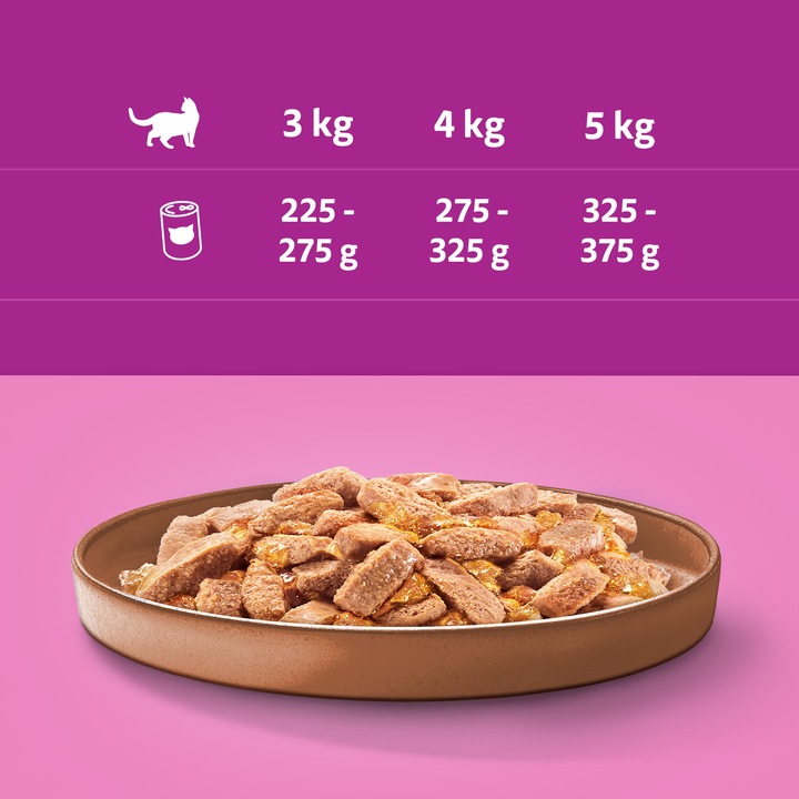 WHISKAS mokra karma dla kota z kaczką w galaretce puszka 24x400 g