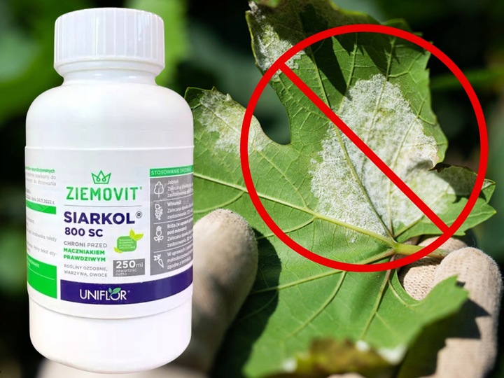 SIARKOL 800 SC SIARKA ŚRODEK GRZYBOBÓJCZY NA MĄCZNIAKA PRAWDZIWEGO 250ML