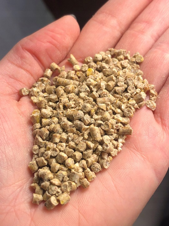 Pasza, karma dla kur KURKA NATURKA PROMOCJA 26.5KG + 1.5KG NUTRENA