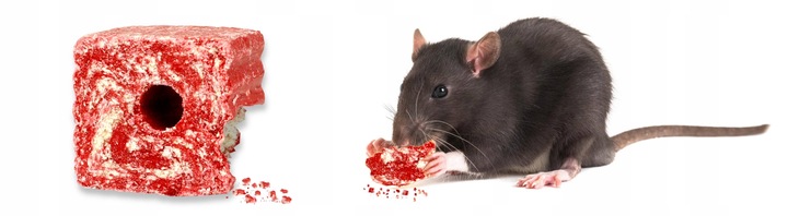 STRONG MOCNA TRUTKA NA MYSZY I SZCZURY KOSTKA WOSKOWA BROMADIOLON 3KG