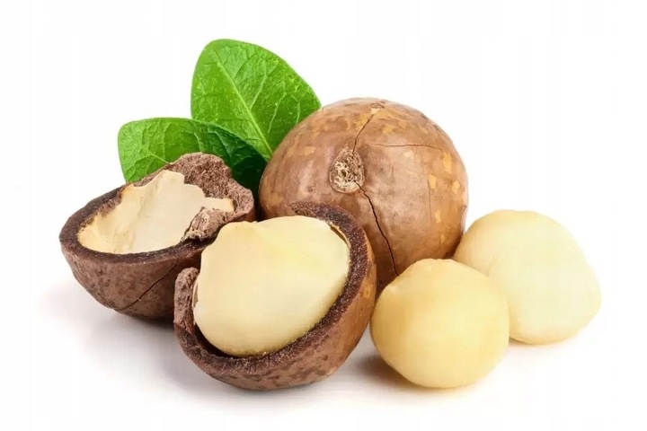 Orzechy MACADAMIA MAKADAMIA świeże 500g