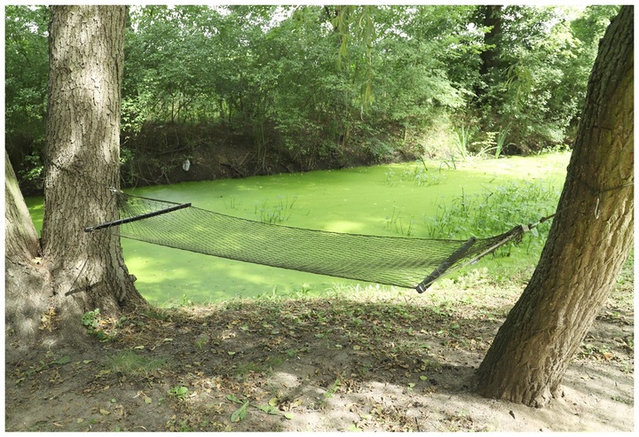 Hamak turystyczny wojskowy biwak duży z rozpórkami i etui Mil-Tec