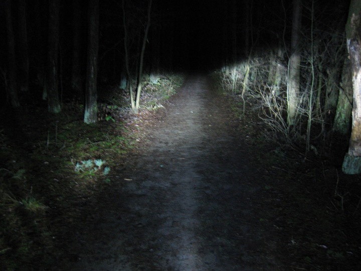 Żarówka LED BA20D 35W 12V Junak Zipp Romet skuter