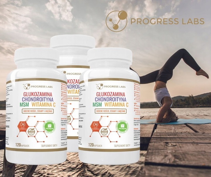 GLUKOZAMINA CHONDROITYNA MSM WITAMINA C STAWY 360k