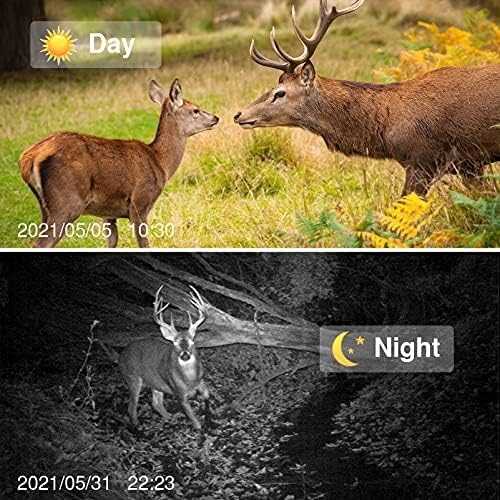 kamera myśliwska 1080P 20MP z czujnikiem ruchu podczerwieni Night Vision