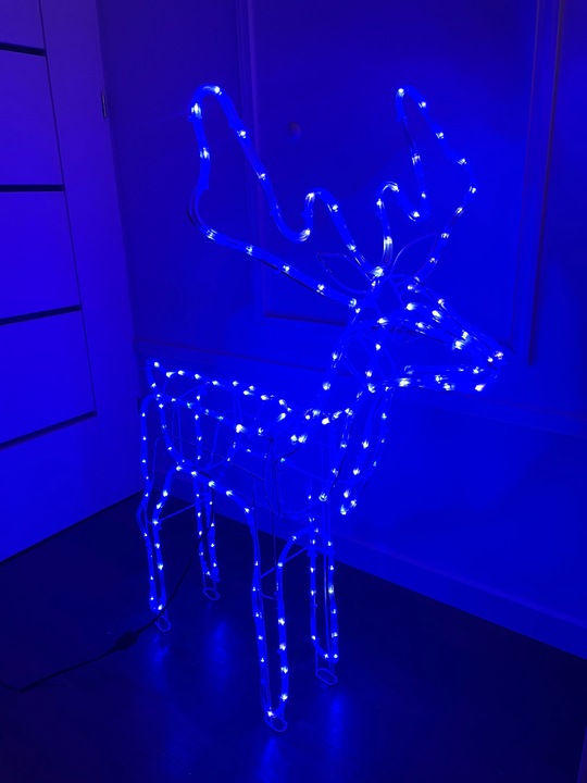 Renifer LED Świąteczny Świecący Figurka Na Zewnątrz XL 85 Duży Niebieski