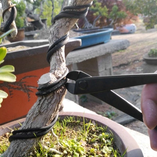 ZESTAW NARZĘDZI DO BONSAI