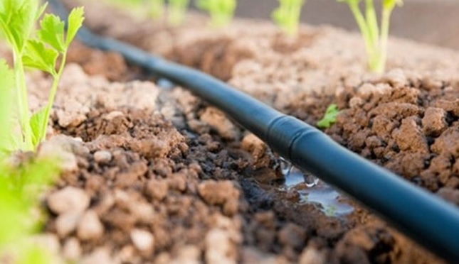 Linia kroplująca z kompensacją 100m zestaw PREMIUM