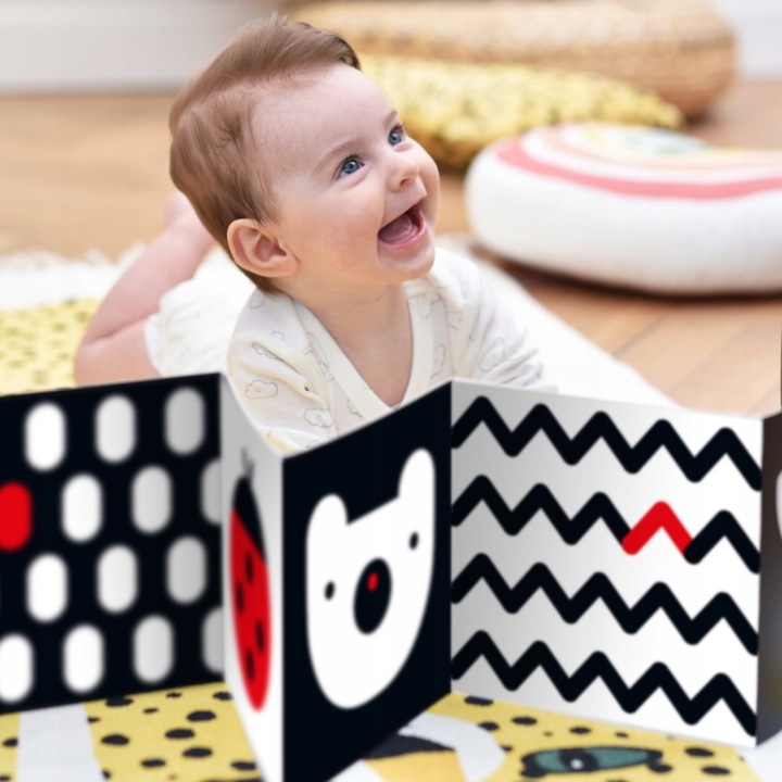 CzuCzu Starter malucha Co widzę 0-3-6 mies.+