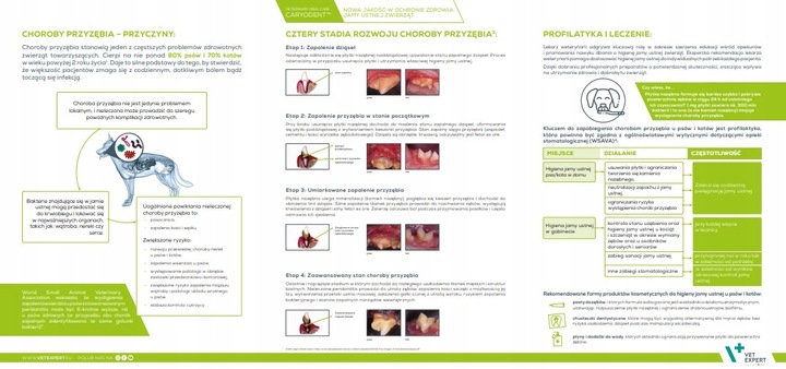 CARYODENT ENZYMATIC TOOTHPASTE 50 ML enzymatyczna pasta do zębów pies kot