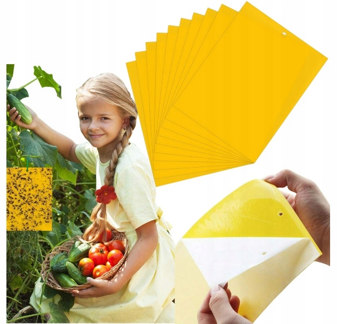 Żółte tablice lepowe na ziemiórki 10 szt. Dwustronny Lep, Biodegradowalne