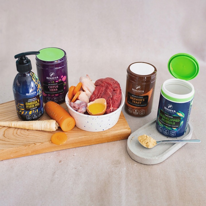 HOLISTA Olej OMEGA 3 Fish Oil dla Psa KOTA KWASY OMEGA EPA DHA BARF 100ml