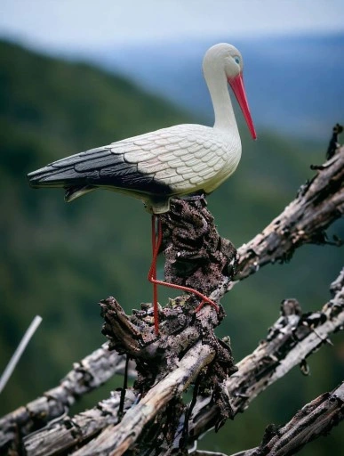 BOCIAN OGRODOWY STOJĄCY FIGURKA DO OGRODU PTAK WBIJANY DUŻY