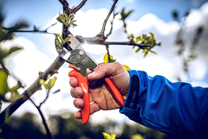 SEKATOR RĘCZNY LOWE 10.107 do GRUBYCH GAŁĘZI OGRODOWY KOWADEŁKOWY 30mm