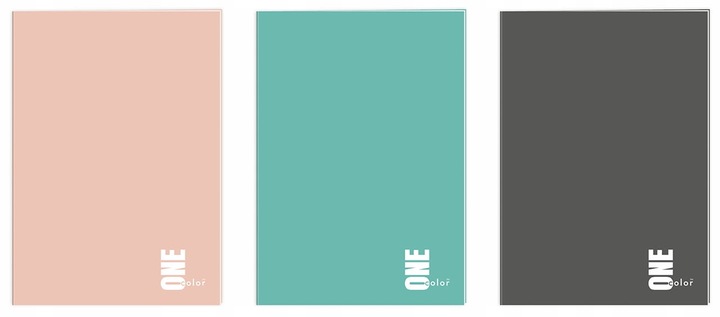 Interdruk zeszyt A4 60 kartek w kratkę One Color x5