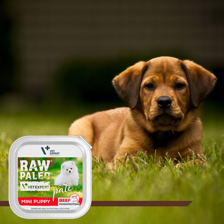 Mokra karma dla szczeniąt małych ras wołowina Raw Paleo Pate 12 x 150g