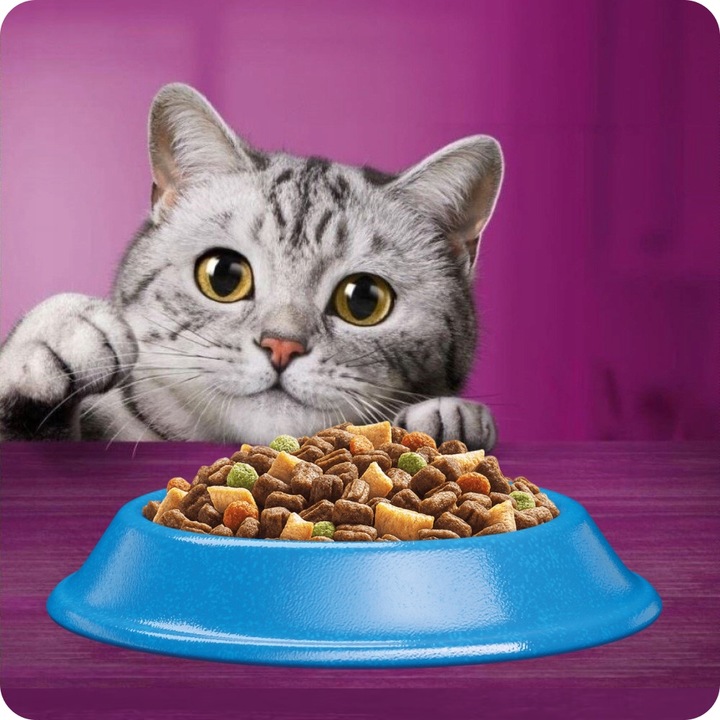 SUCHA KARMA WHISKAS DLA KOTA Z PYSZNYM TUŃCZYKIEM 7KG