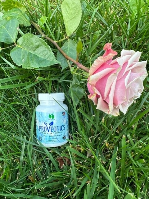 For long life PROVEOTICS probiotyki i prebiotyki BEZ MLEKA, BAZA DYNIOWA