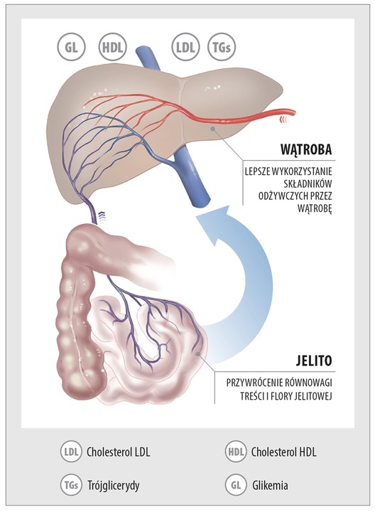 Aboca Metarecod Poprawa Wyników Cholesterolu Trójglicerydów Cukru