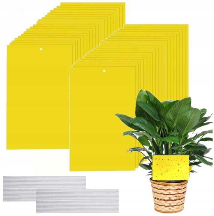 60x ŻÓŁTE LEPY DO DONICZEK DONICZKI NA MUSZKI MSZYCE OWADY ZIEMIÓRKI 60 SZT