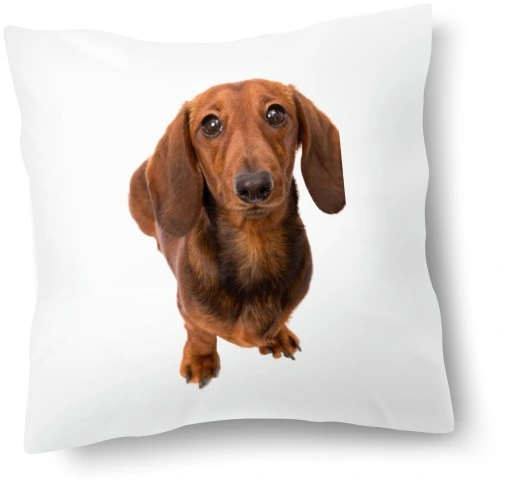 Zestaw PODUSZKA + KUBEK JAMNIK