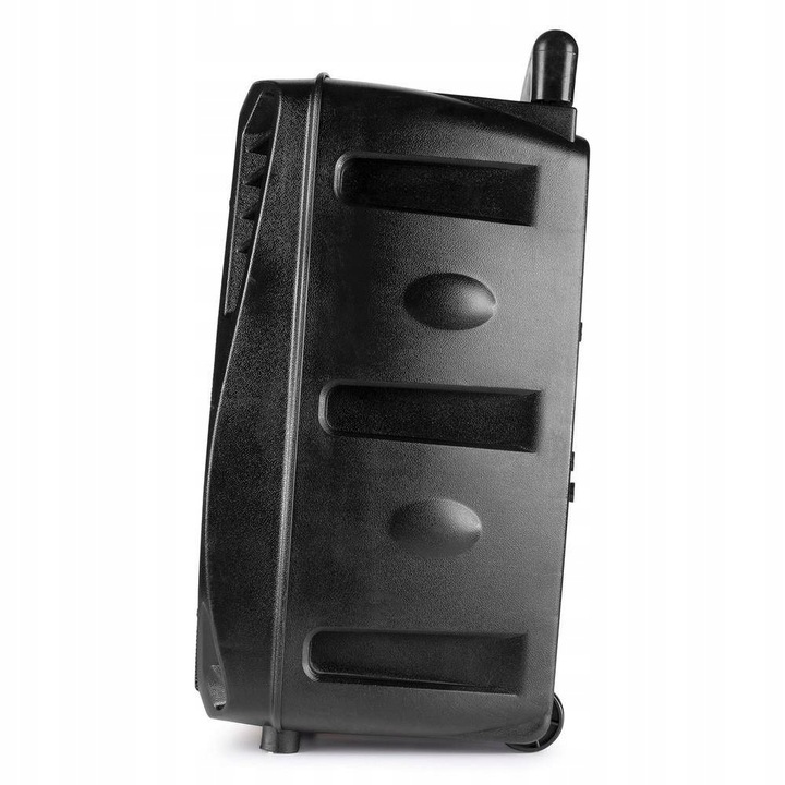 Głośnik BLUETOOTH karaoke 300W MIC PILOT BATERIA