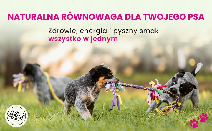 Suplementy dla psa - Kości Stawy Aktywność dla Senior MSM - Witaminy 90szt