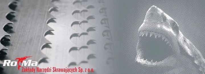 PIŁA TAŚMOWA DO DREWNA 40x1,1X4005 CARBON Ro-Ma