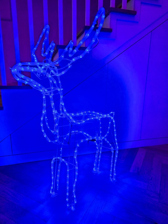 Renifer LED Świąteczny Świecący Figurka Na Zewnątrz XL 85 Duży Niebieski