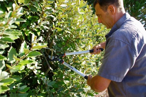 sekator do gałęzi 800mm Bahco P280-SL-80