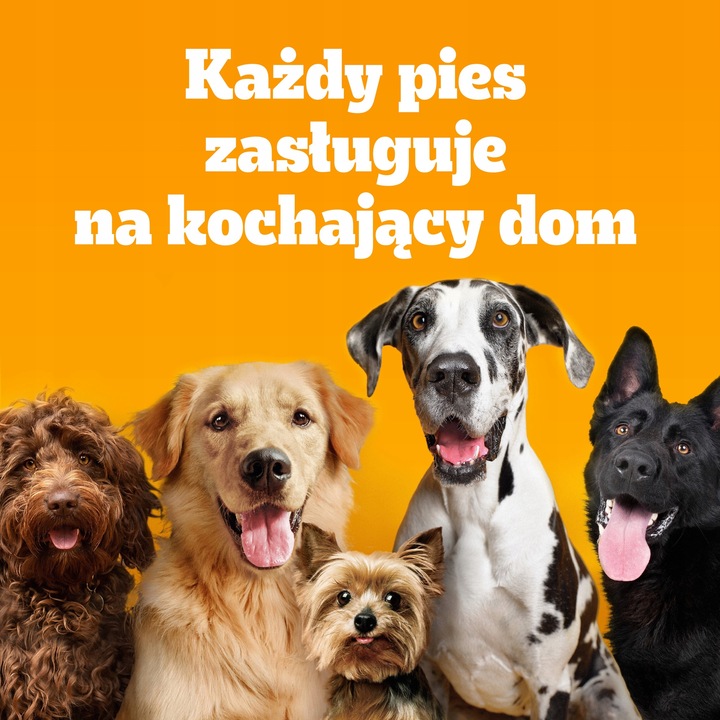 Pedigree Junior Professional Nutrition drób 12 kg