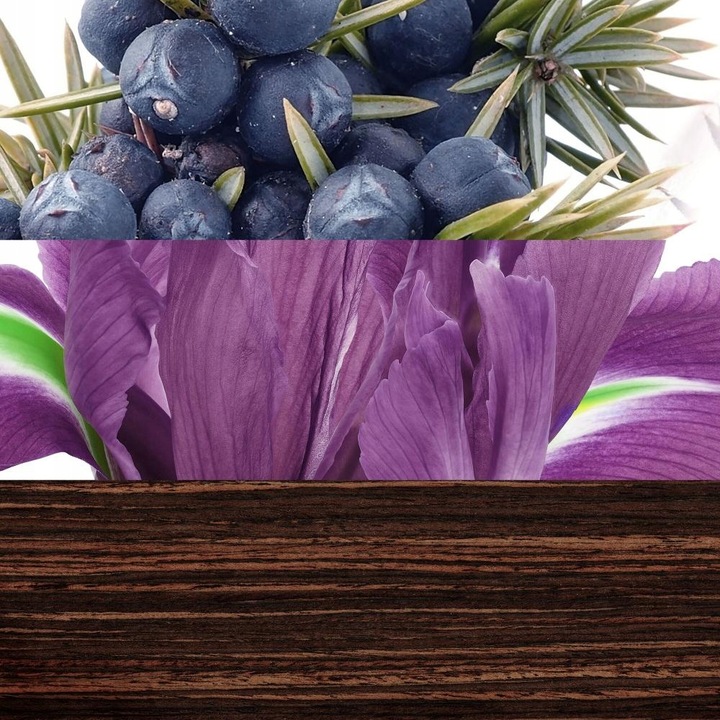 Davidoff The Game for Men 100ml woda toaletowa mężczyzna EDT