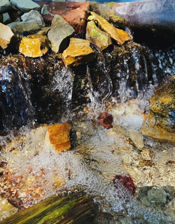 Doktor's BEST Opti MSM siarka 1500mg 120 tab STAWY