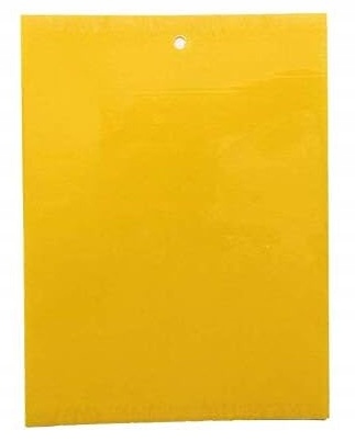 ŻÓŁTE TABLICE LEPOWE LEP NA NASIONNICĘ TRZEŚNIÓWKĘ DRZEWKA OWOCOWE A4