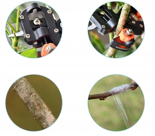 ZESTAW SEKATOR NOŻYCE NOŻYCZKI OGRODOWE DO SZCZEPIEŃ OKULIZACJI DRZEW ETUI