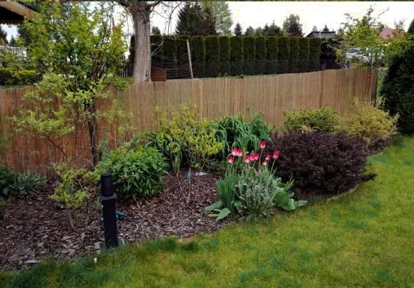 Mata bambusowa osłonowa na płot, ogrodzenie 1,8 x 5 m ( z listewek )