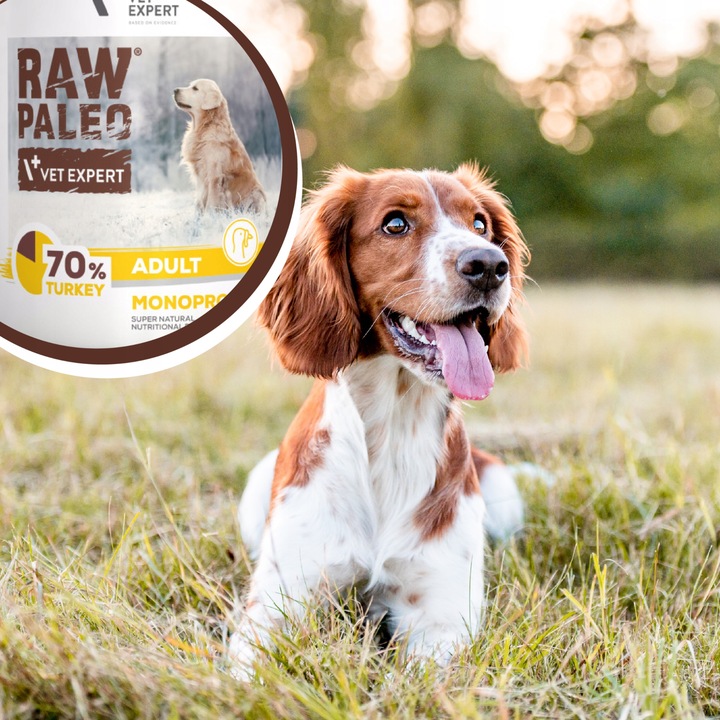 Mokra karma dla psów dorosłych indyk Raw Paleo 12 x puszka 800g