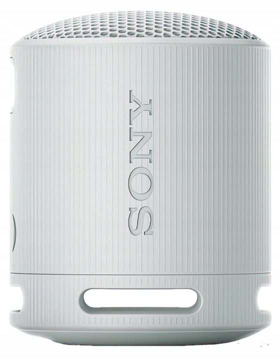Głośnik przenośny bluetooth Sony SRS-XB100H Szary