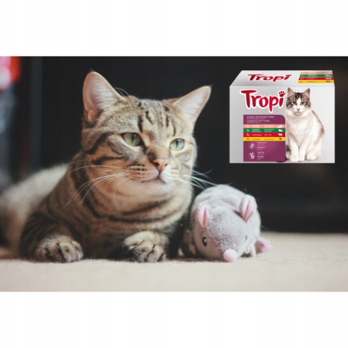 Mokra Karma dla kota Tropi mix smaków 100 g x 48szt. DUŻY PAKIET Mega Box