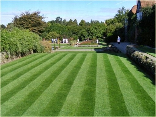 Nawóz do trawy SZYBKI EFEKT 10 kg Florovit