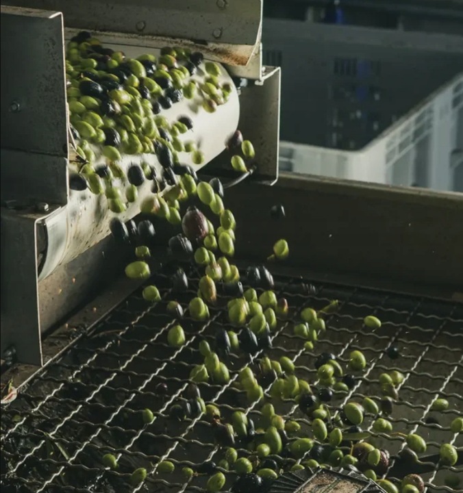 Oliwa z oliwek Extra Virgin 1L BIO SAPIO Świeża i łagodna