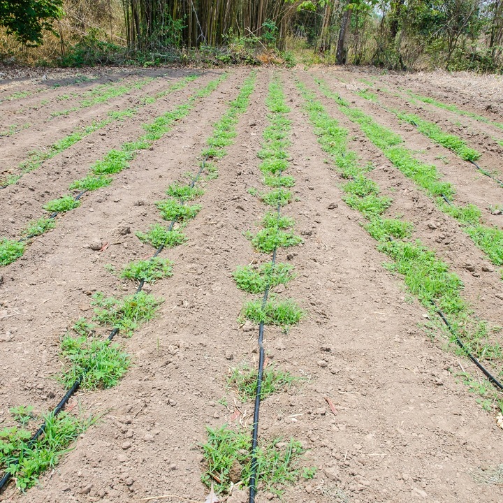 LINIA KROPLUJĄCA z kompensacją NAWADNIANIE KROPELKOWE 100m +192 EL.WĄŻ