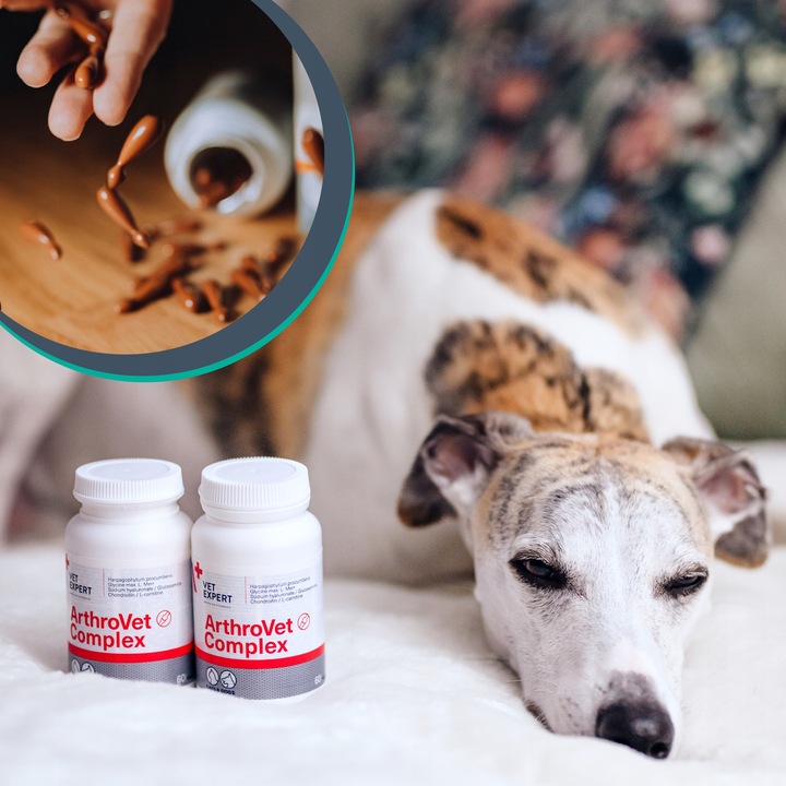 Suplement dla psów małych ras na stawy VET EXPERT ArthroVet Complex 60 kap.