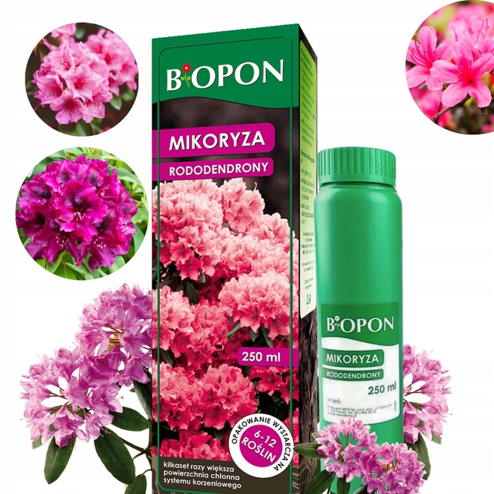 Mikoryza szczepionka do rododendronów wrzosów borówek azalii Biopon 250 ml