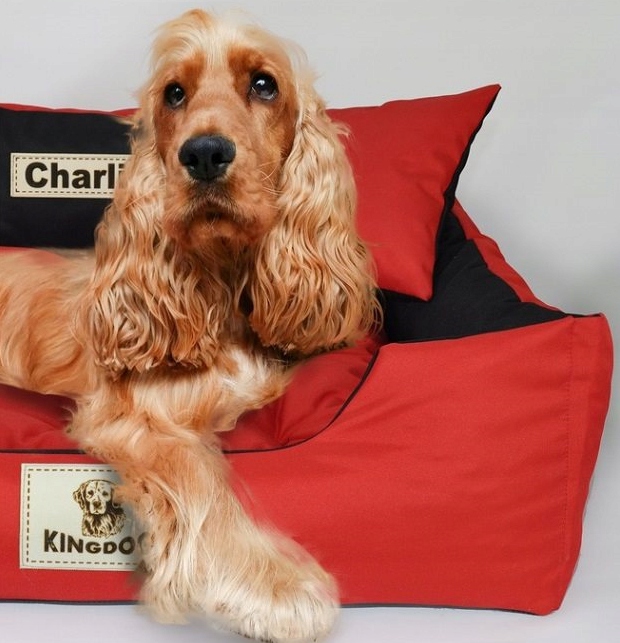 Legowisko dla Psa Kota Kanapa Kojec Z imieniem S 55x45 cm Różne kolory