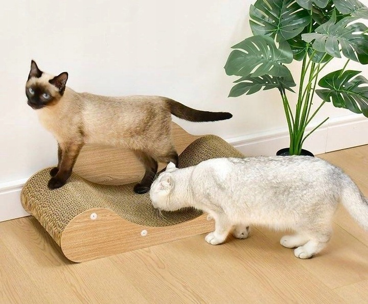 Drapak Dla Kota Sofa Łóżko Legowisko Karton Do Drapania Kanapa Kotka 60 cm