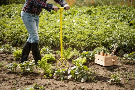 XXL KULTYWATOR SPULCHNIACZ GLEBY RĘCZNY ADLER
