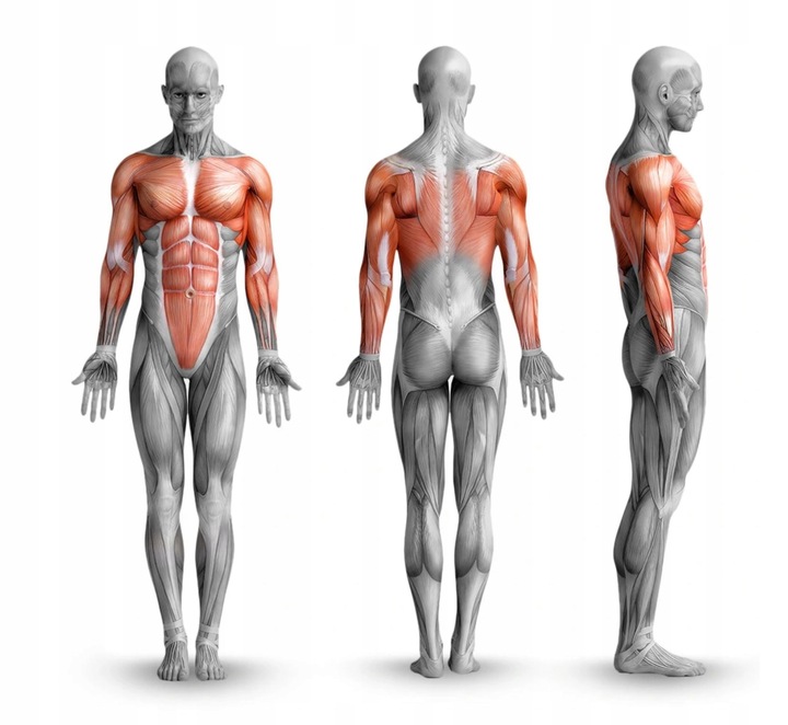 DRĄŻEK DO ĆWICZEŃ PODCIĄGANIA SUFITOWY K-SPORT