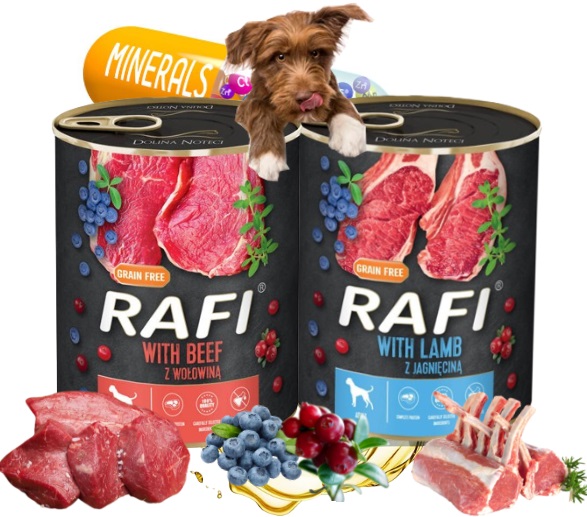 RAFI PAKO DOLINA NOTECI KARMA MOKRA DLA PSA PUSZKA MIX SMAKÓW 24 x 800 G